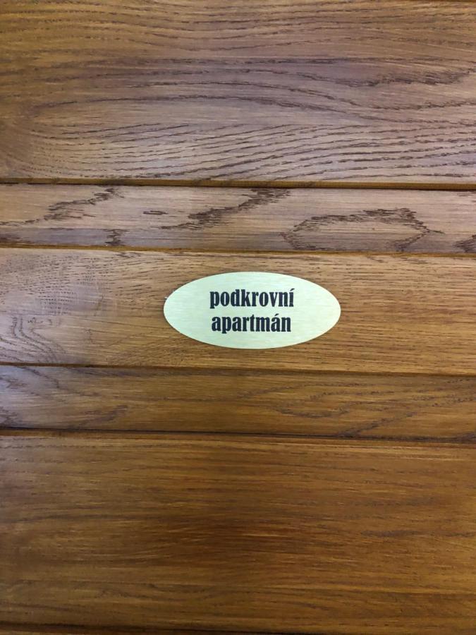 Apartmany U Vleku - Podkrovni Apartman Karlova Studánka Zewnętrze zdjęcie