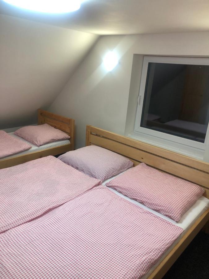 Apartmany U Vleku - Podkrovni Apartman Karlova Studánka Zewnętrze zdjęcie